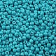 Baking Paint Glass Seed Beads US-SEED-S003-K10-2