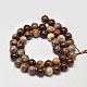 Natural Petrified Wood Round Bead Strands US-G-F266-08-8mm-2
