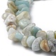 Natural Flower Amazonite Chips Beads Strands US-G-M205-12-2