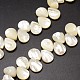 Natural Trochid Shell/Trochus Shell Beads Strands US-SSHEL-K009-06-3