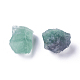 Rough Raw Natural Fluorite Beads US-G-WH0003-04-1