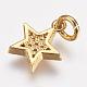 Brass Micro Pave Cubic Zirconia Charms US-ZIRC-G087-35G-2