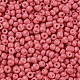 Baking Paint Glass Seed Beads US-SEED-S002-K16-2