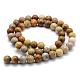 Natural Fossil Coral Beads Strands US-G-G763-12-6mm-4