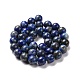 Natural Lapis Lazuli Round Bead Strands US-G-E262-01-10mm-12