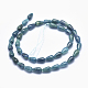 Natural Apatite Beads Strands US-G-K256-41A-2