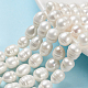 Grade B Natural Cultured Freshwater Pearl Beads Strands US-SPRB008Y-1-1