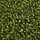8/0 Glass Seed Beads US-SEED-A005-3mm-24-2