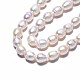 Natural Cultured Freshwater Pearl Beads Strands US-PEAR-N012-06C-4