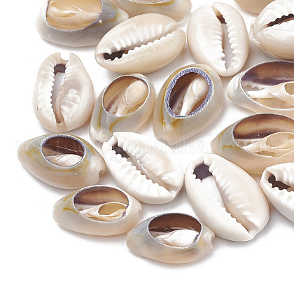 Cowrie Shell Beads US-SSHEL-T004-03-1