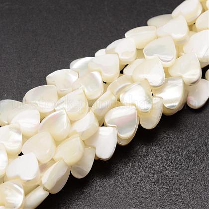 Natural Trochid Shell/Trochus Shell Beads Strands US-SSHEL-K012-04-1