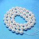 Round Shell Pearl Bead Strands US-BSHE-L011-10mm-A013-2