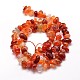 Dyed Natural Carnelian Chip Beads Strands US-G-E271-105-2