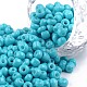 Baking Paint Glass Seed Beads US-SEED-S003-K10-1