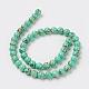 Sea Shell and Synthetic Turquoise Assembled Beads Strands US-G-G758-07-6mm-2