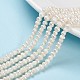 Natural Cultured Freshwater Pearl Beads Strands US-PEAR-F007-63-1