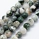 Natural Tree Agate Beads Strands US-G-I199-03-4mm-1