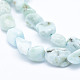 Natural Larimar Beads Strands US-G-K203-48-3