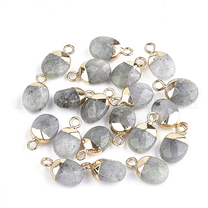 Electroplate Natural Labradorite Charms US-G-S344-09D-1