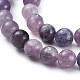 Natural Lepidolite/Purple Mica Stone Beads Strands US-G-E545-01A-6