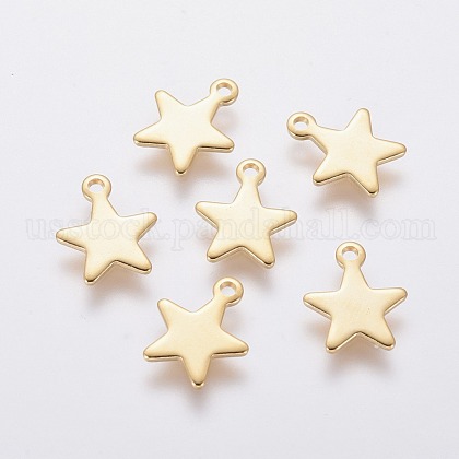 304 Stainless Steel Charms US-STAS-L234-069G-1