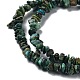 Natural African Turquoise(Jasper) Chip Beads Strands US-G-E271-59-4