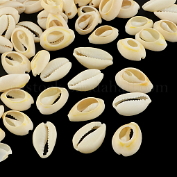 Natural Mixed Cowrie Shell Beads US-BSHE-S053-01