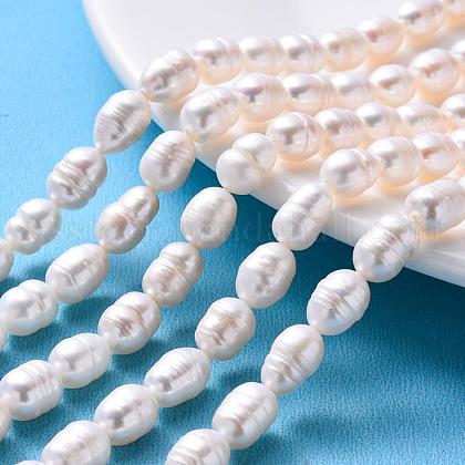 Natural Cultured Freshwater Pearl Beads Strands US-A23WB011-1
