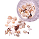 Mixed Style Cowrie Cowry Seashells Oval Spiral Shells with Holes for Jewelry Making US-BSHE-PH0002-1-2