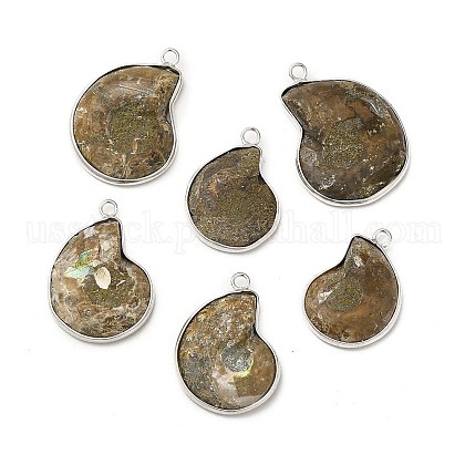 Natural Conch Fossil Pendants US-BSHE-E025-02P-1