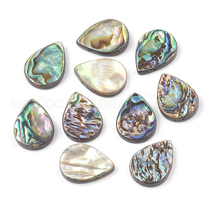 Abalone Shell/Paua Shell Beads US-SHEL-T005-02-1