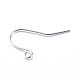 Iron Earring Hooks US-IFIN-T001-04P-NF-2