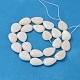 Natural White Shell Beads Strands US-PBB263Y-1-2