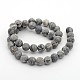 Frosted Natural Map Stone/Picasso Stone/Picasso Jasper Round Bead Strands US-G-M272-08-10mm-2