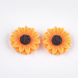 Resin Cabochons US-X-CRES-T010-60B