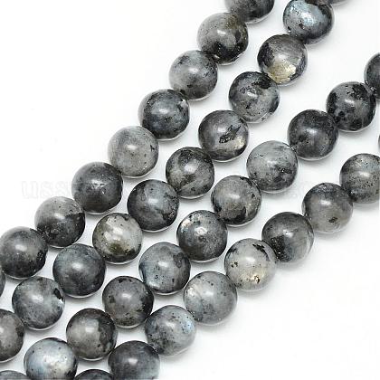 Natural Larvikite Beads Strands US-G-R345-6mm-33-1