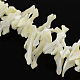 Natural Sea Shell Nugget Stick Bead Strands US-BSHE-Q025-08-1