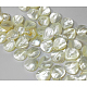 Natural Trochid Shell/Trochus Shell Beads Strands US-SSHEL-K009-10-4