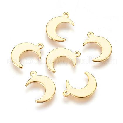 304 Stainless Steel Charms US-STAS-H557-31G-1