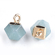 Electroplate Natural Amazonite Charms US-X-G-S344-08F-2