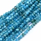 Natural Apatite Beads Strands US-G-E411-36-2mm-01-1