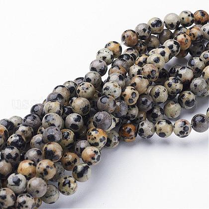Natural Dalmatian Jasper Beads Strands US-GSR6mmC004-1