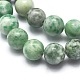 Natural Qinghai Jade Beads Strands US-G-I254-06B-3