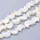 Natural White Shell Beads Strands US-X-SSHEL-12X11-1