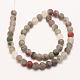 Natural African Bloodstone Beads Strands US-G-P295-05-10mm-2