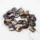 Natural Freshwater Shell Beads Strands US-S00EA-20x21mm-M-3