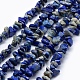 Natural Lapis Lazuli Beads Strands US-G-P332-12-1