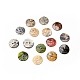 Mother of Pearl Buttons US-SHEL-J001-M06-1