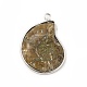 Natural Conch Fossil Pendants US-BSHE-E025-02P-2