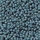 MIYUKI Round Rocailles Beads US-X-SEED-G008-RR4479-3